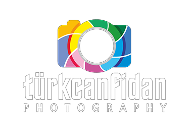 Turkcan Fidan
